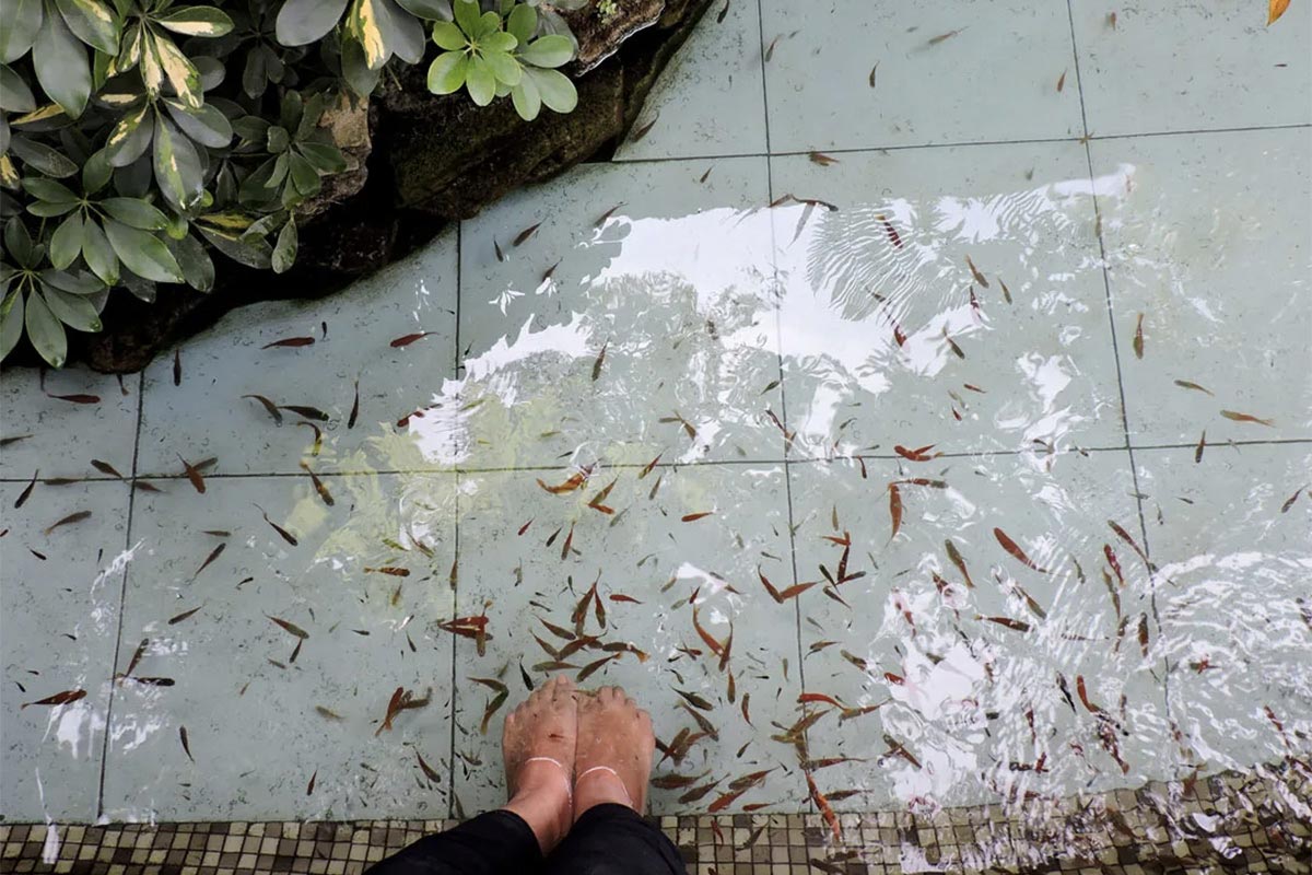 Fish Foot Spa